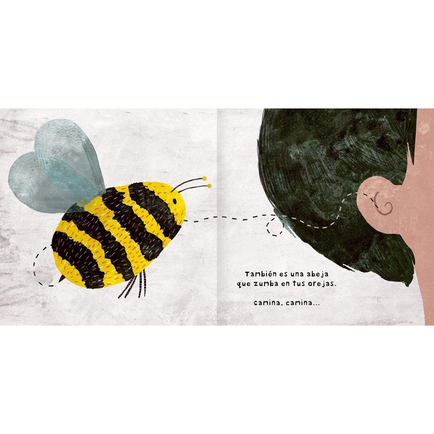 Menudos bichos (Reconocimiento del cuerpo y de los insectos)