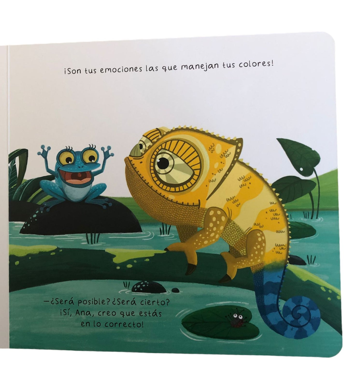 Libro ¿Qué le pasa a Gastón? (Reconocer emociones)