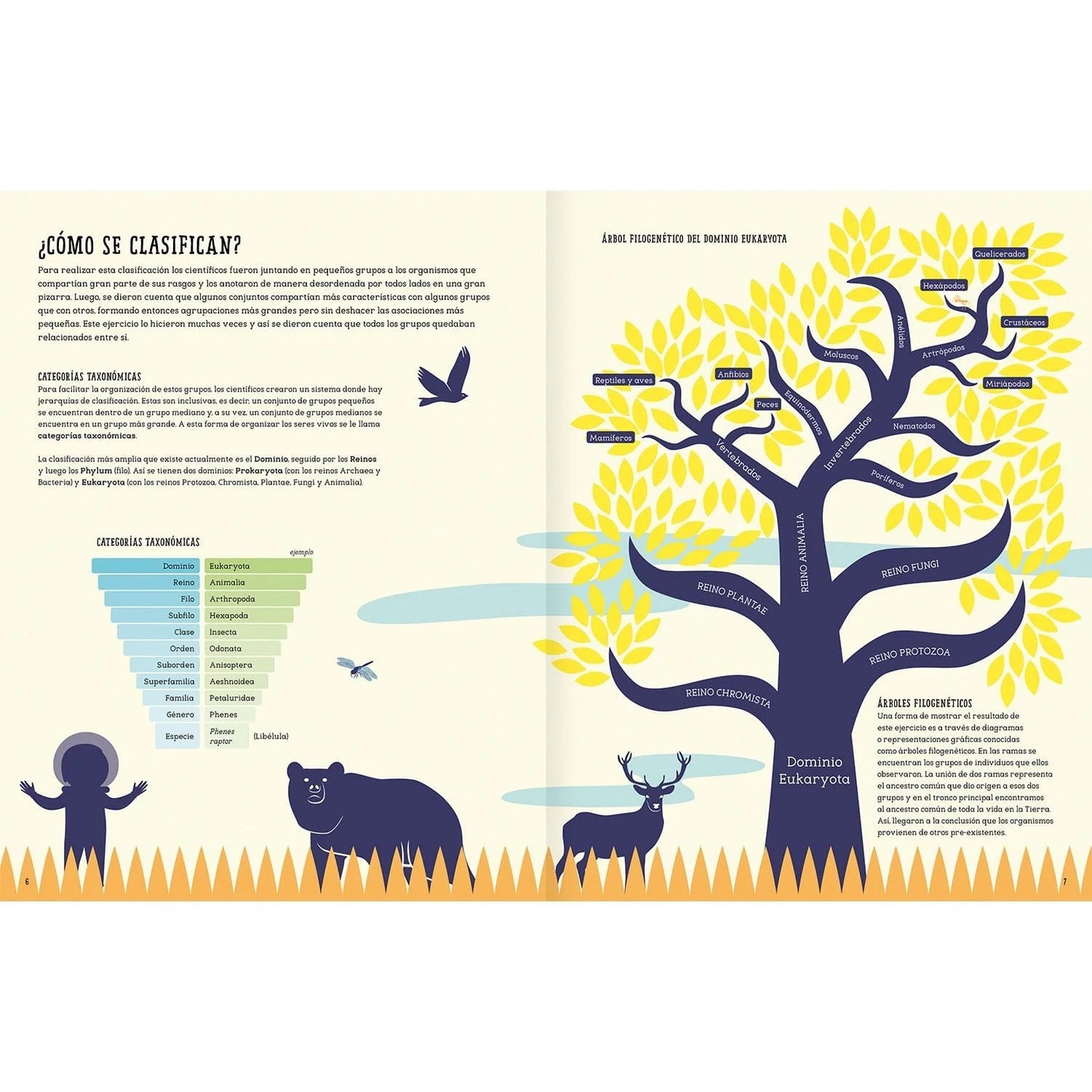 Insectopedia (aprender de insectos y naturaleza)