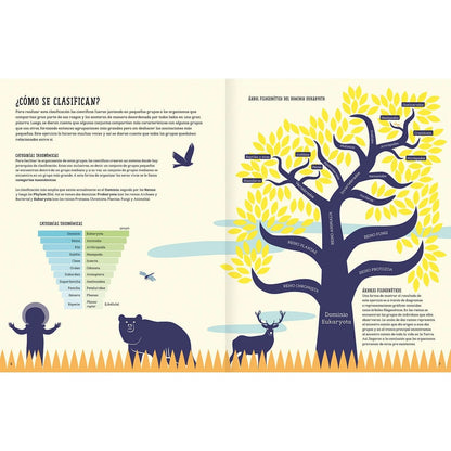 Insectopedia (aprender de insectos y naturaleza)