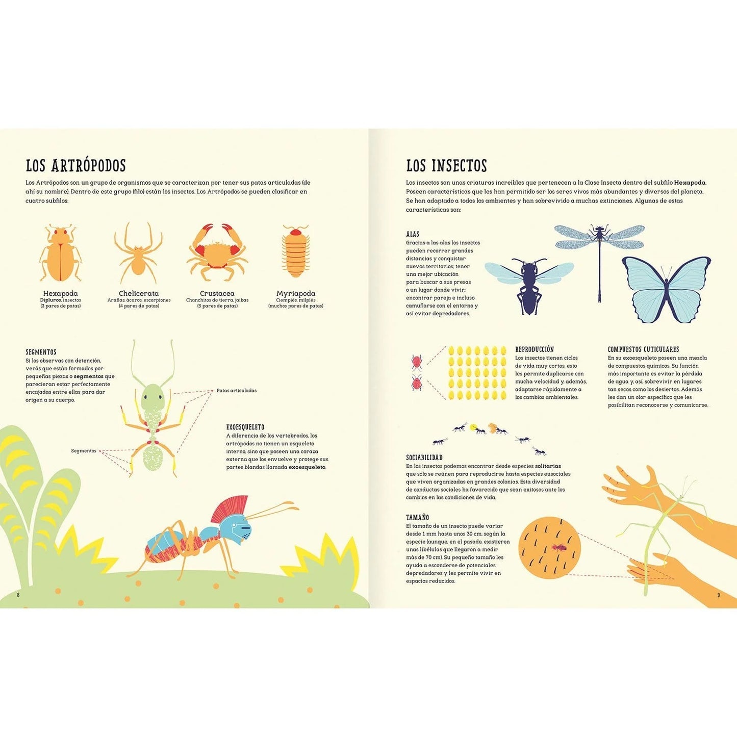 Insectopedia (aprender de insectos y naturaleza)