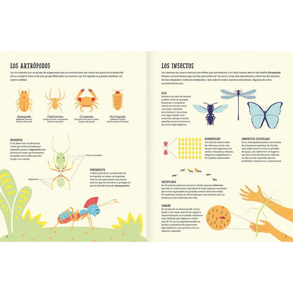 Insectopedia (aprender de insectos y naturaleza)