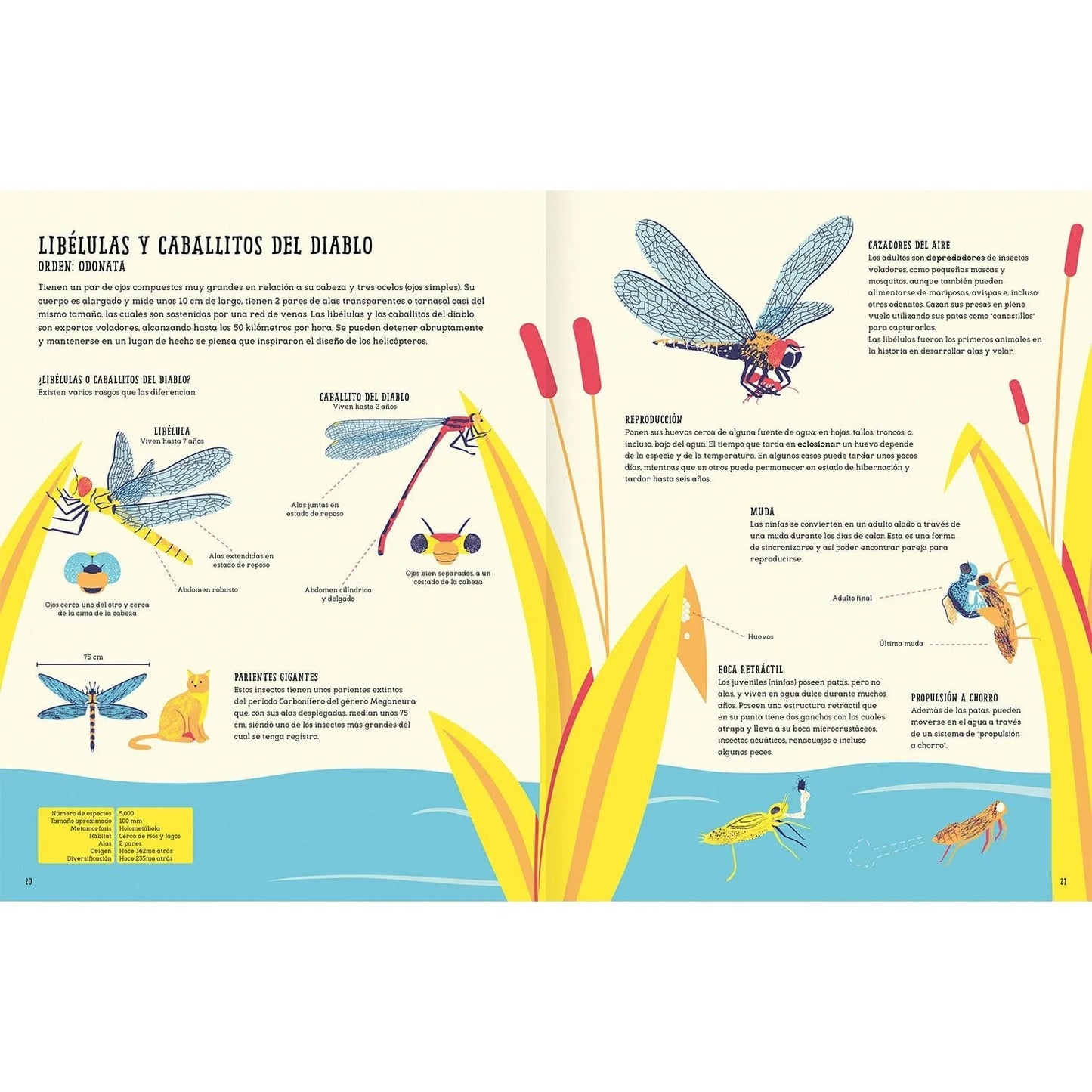 Insectopedia (aprender de insectos y naturaleza)