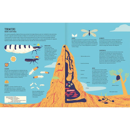 Insectopedia (aprender de insectos y naturaleza)