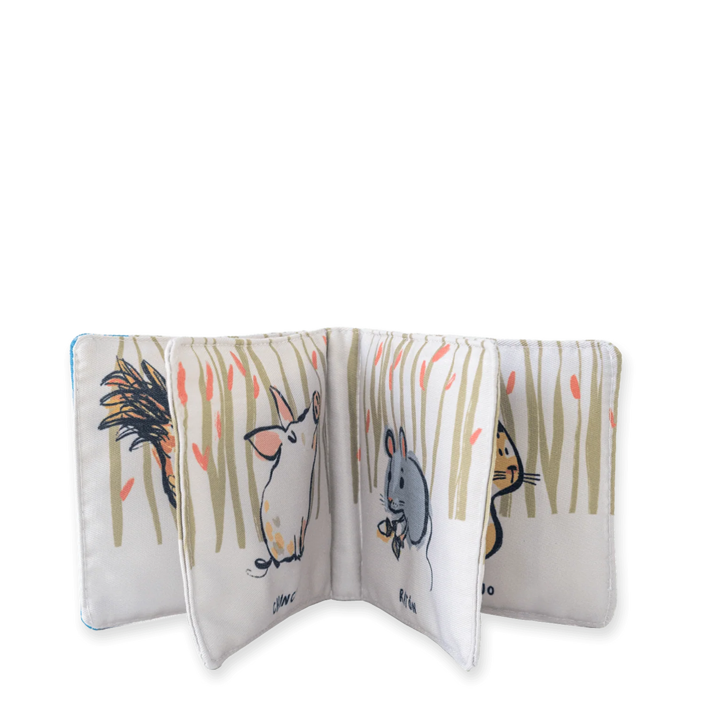 Pelos y plumas (Estimulación sensorial)