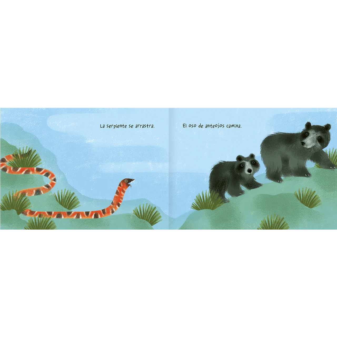 Tierra animal (animales y opuestos)
