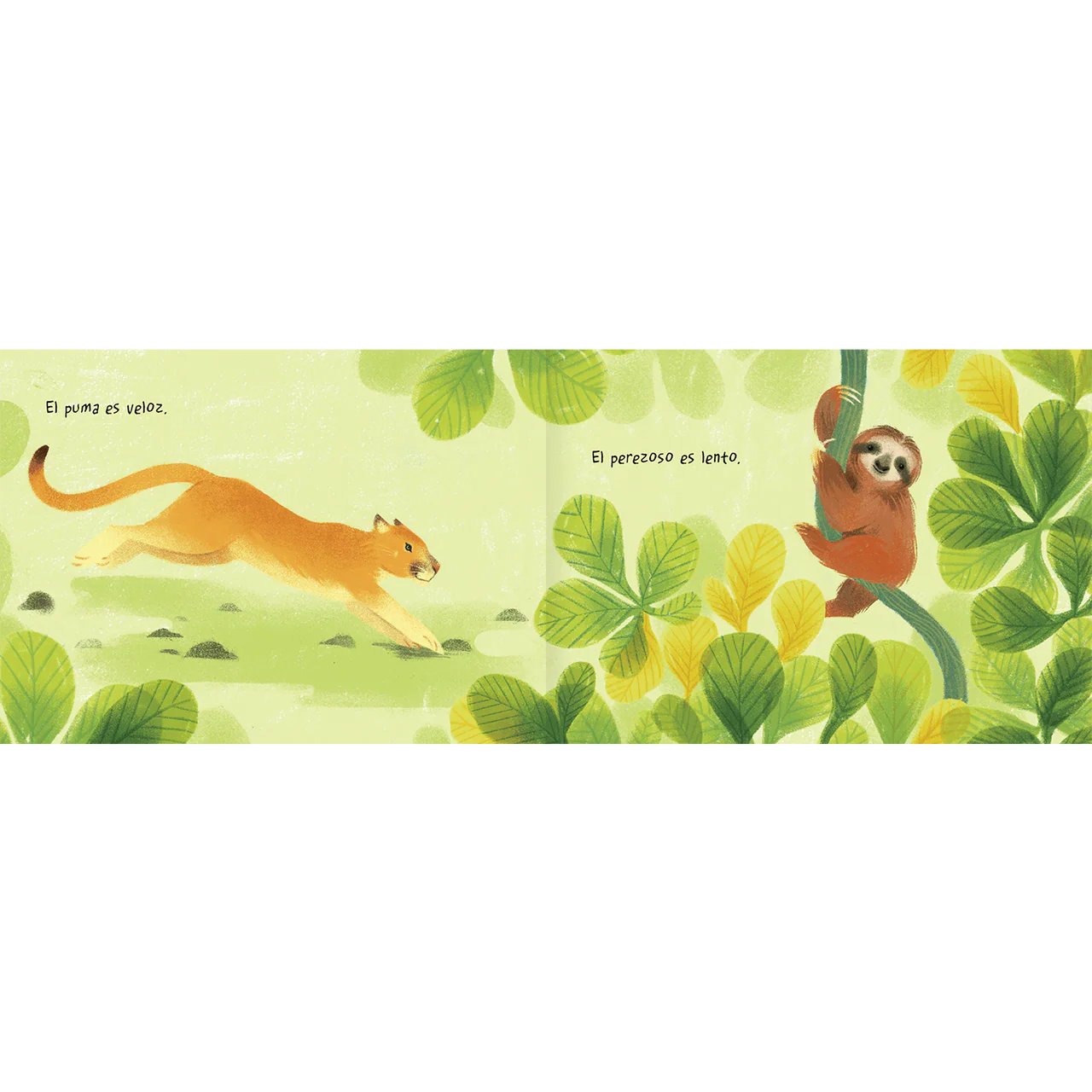 Tierra animal (animales y opuestos)