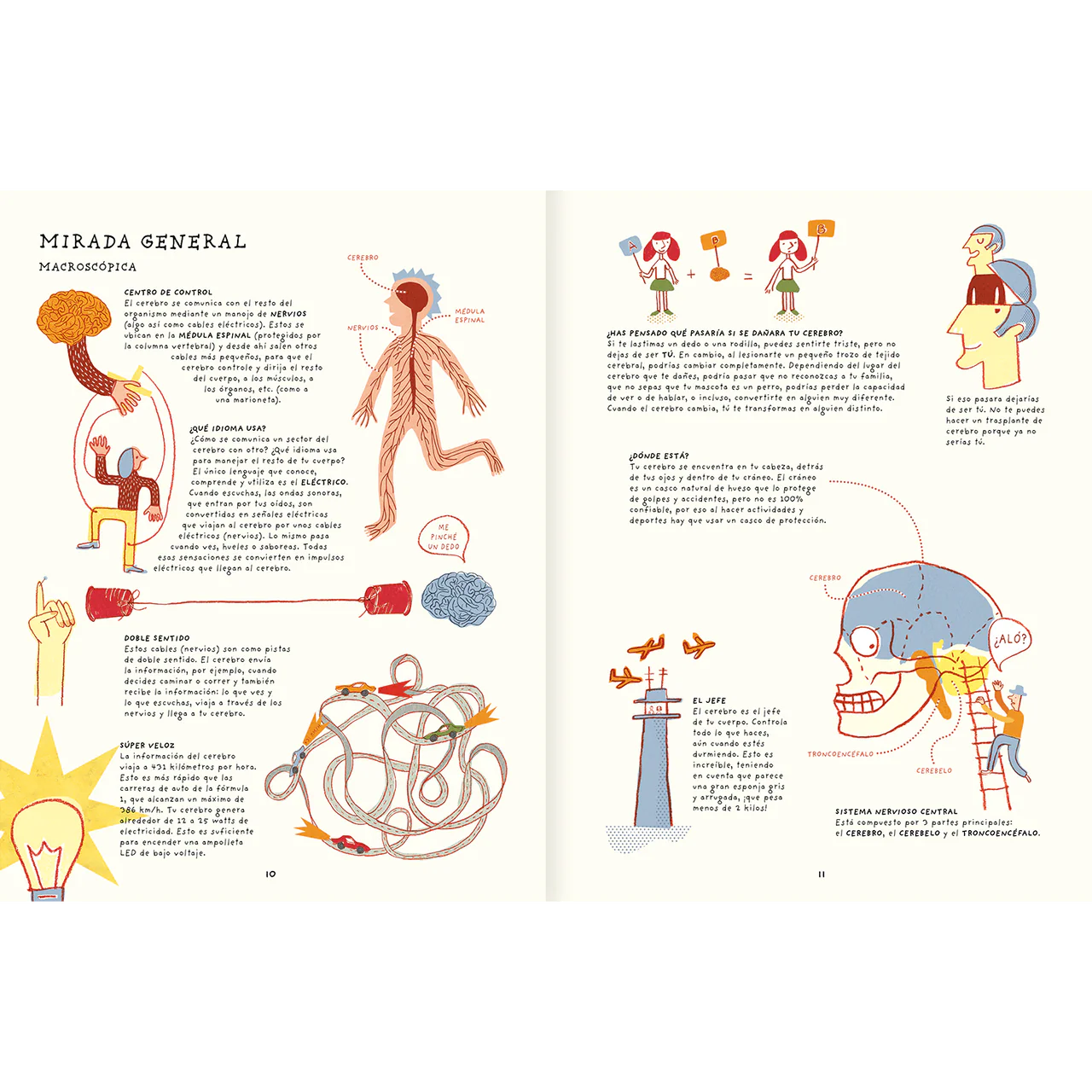 Tu cerebro es genial (Aprender entretenido, con actividades y experimentos)